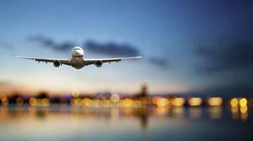 Driving Growth in Travel Catering