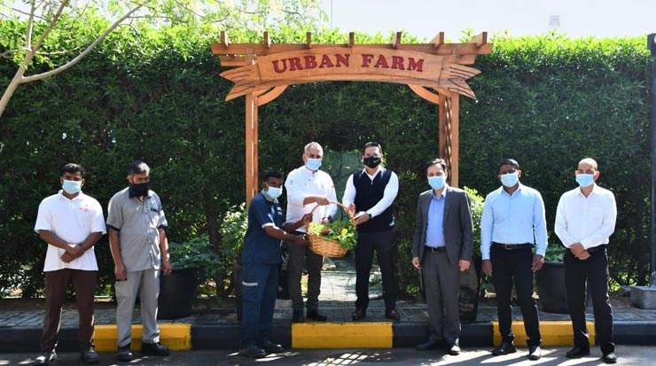 Ramada Hotel &amp; Suites by Wyndham Ajman team harvested organic crops from its urban farm 