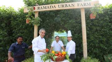 Ramada Hotel &amp; Suites Ajman, urban organic farm