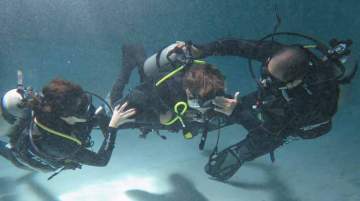Diving sessions