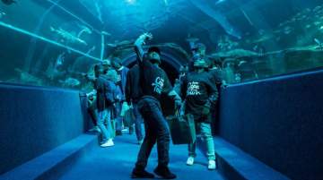Two Oceans Aquarium &ndash; Celebrating Mandela Heritage
