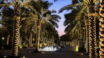 Umm Al Emarat Park