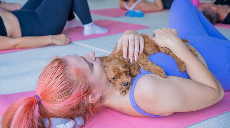 Puppy Love at Jumeirah Saadiyat Island