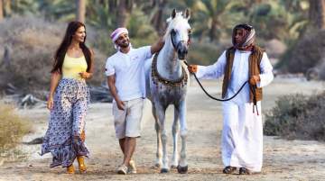 Visit Bahrain's Traditional Tourist Activities