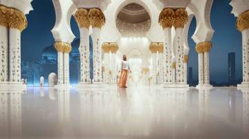 ABU DHABI &amp; AL AIN: Well Connected (Part 2)