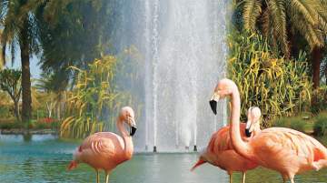 Al Areen Wildlife Reserve, Photo Credit: Visit Bahrain
