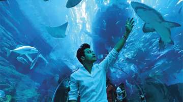 Dubai Aquarium &amp; Underwater Zoo