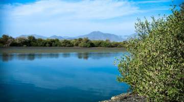 Kalba
